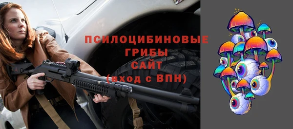 амф Арсеньев