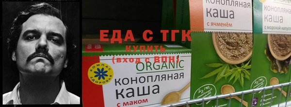 сатива Армянск