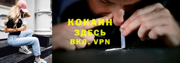 сатива Армянск