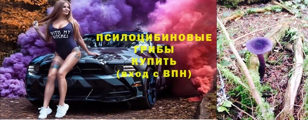 амф Арсеньев