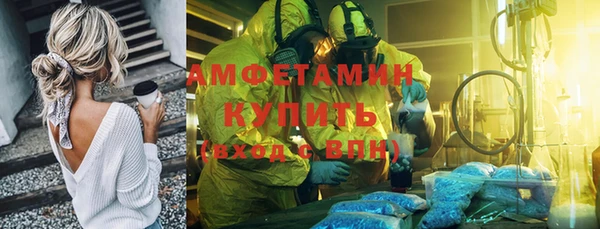сатива Армянск