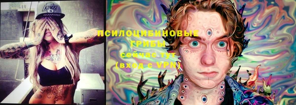 прущий лед Аркадак
