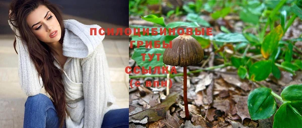 прущий лед Аркадак