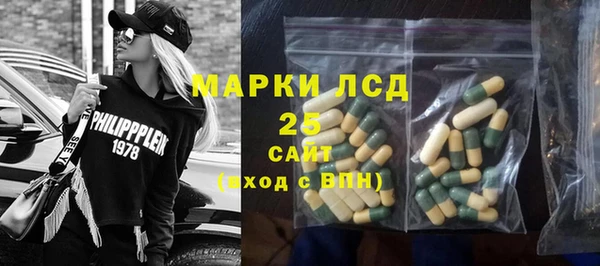 сатива Армянск