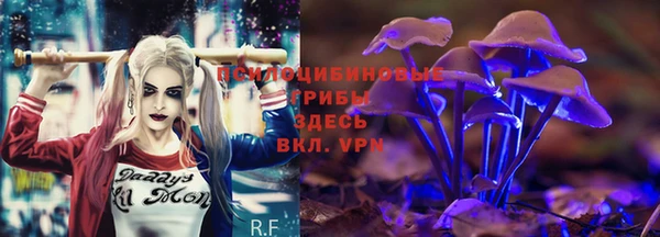 амф Арсеньев