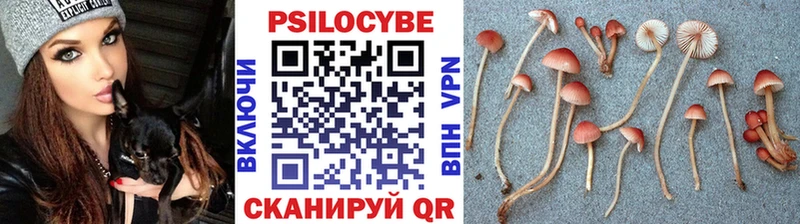 Псилоцибиновые грибы мицелий  Усинск 